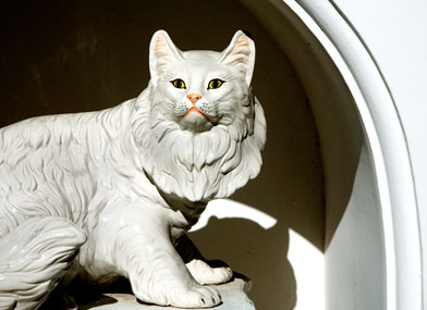 Matisse - Gatto Bianco Capri